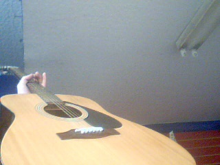 Guitard seche