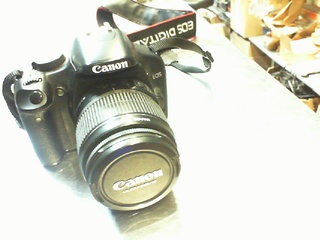 Canon 450d sans chargeur