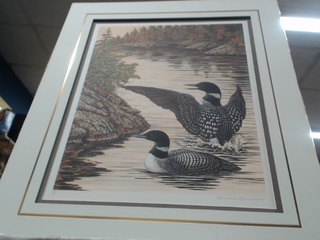 Litographie canard c.marshall