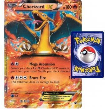 Charizard xy17