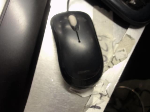 Souris