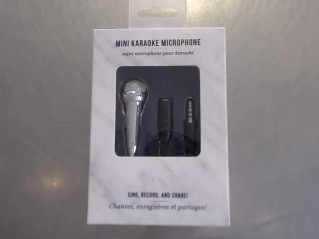 Mini microphone pour karaok