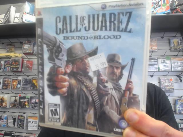 Call of juarez bound in blood