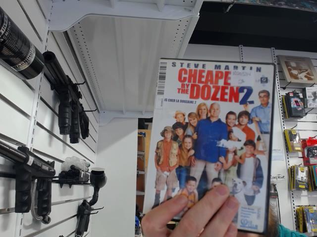 Cheaper by the dozen 2
