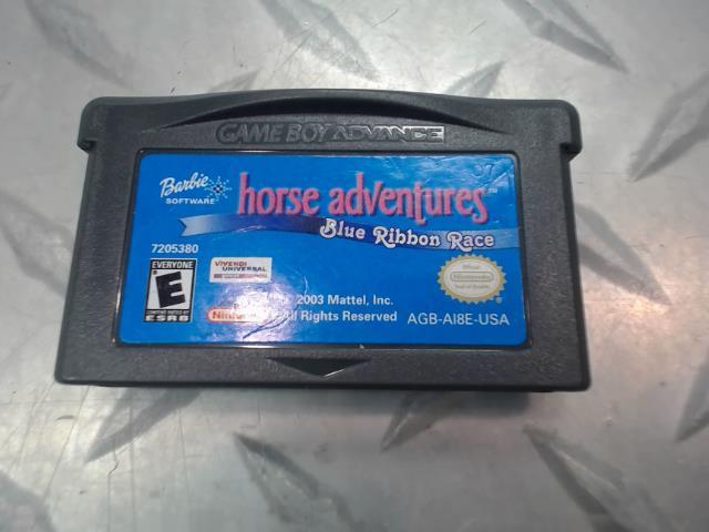 Horse adventures blue ribbon