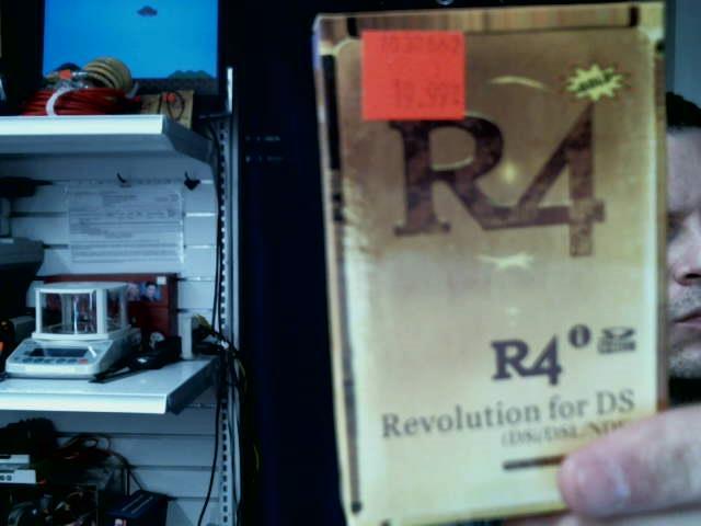 R4 revoltion for ds