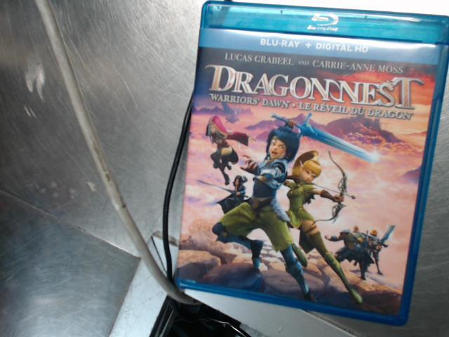 Dragonnest warriors dawn
