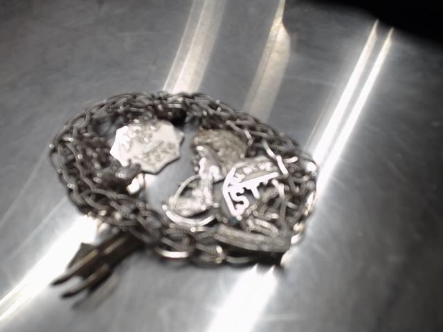 Brac argent brelo 33.0g