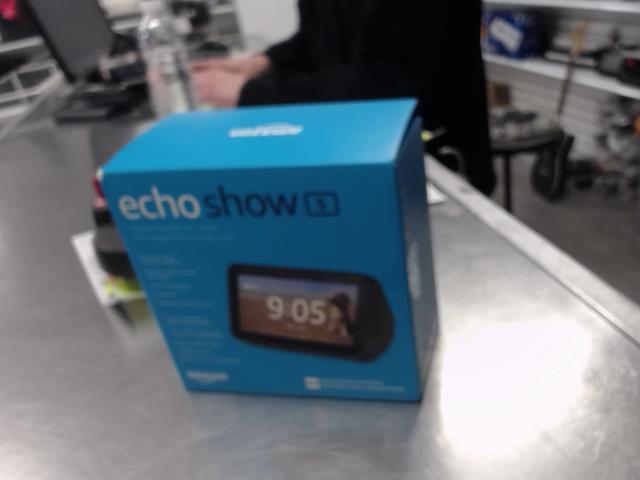 Voice controlled echo