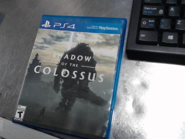 Shadow of colossus