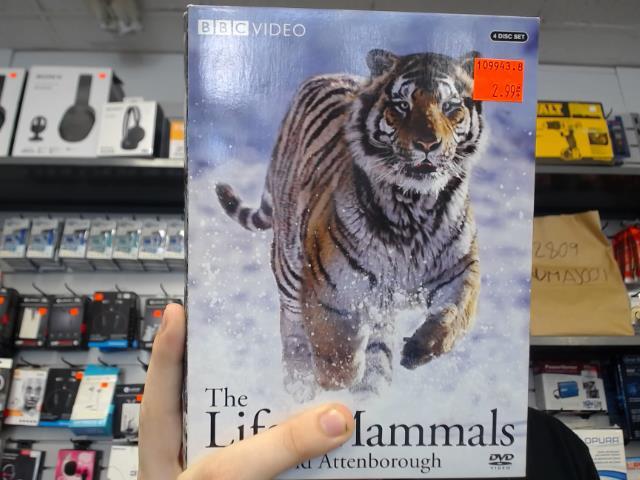 The life of mammals