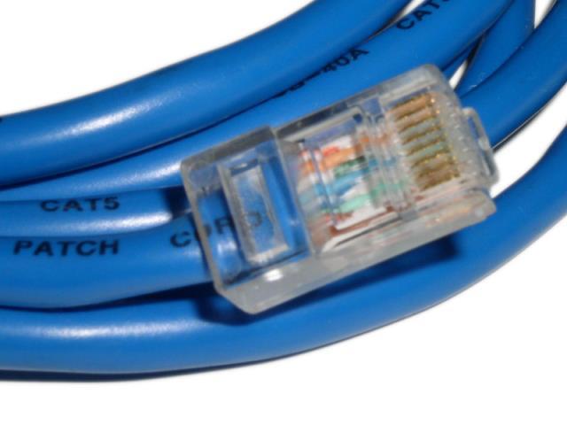 Cable ethernet moyen bleu