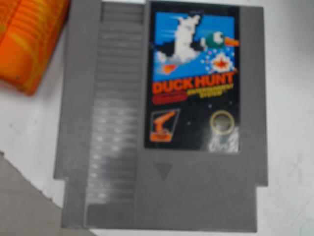 Duck hunt