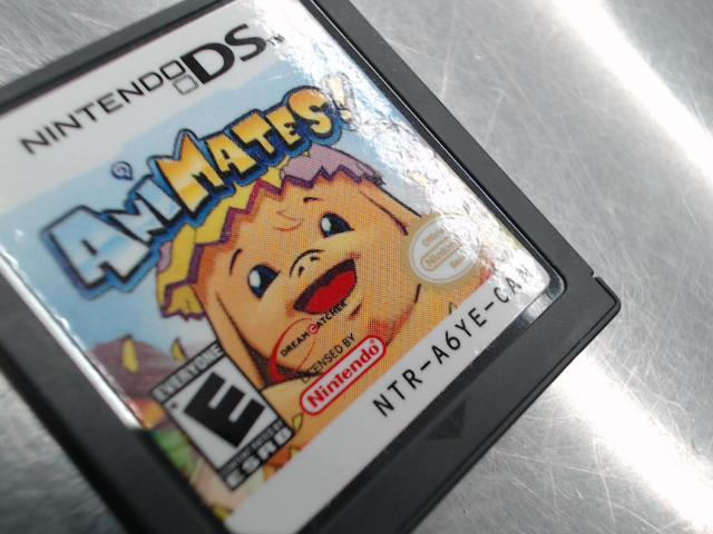 Animates nintendo ds