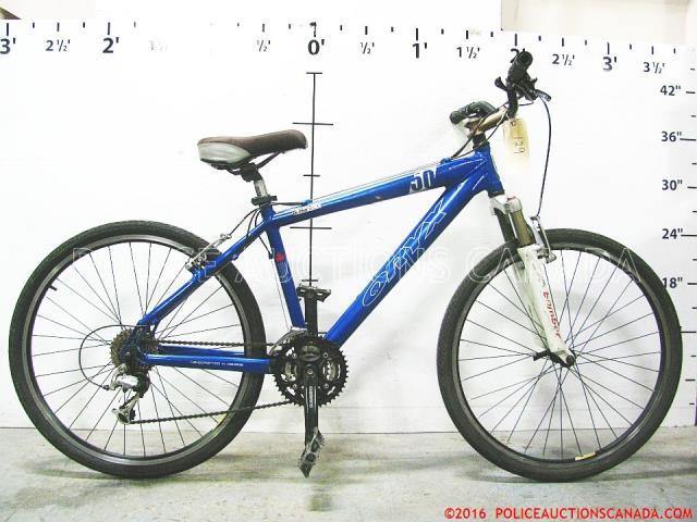 Velo bleu oryx