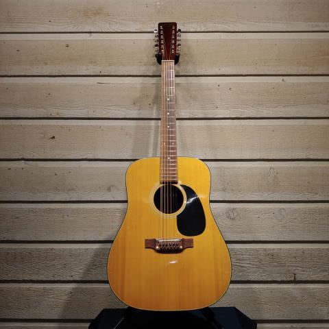 Takamine 12 strings