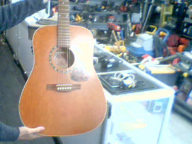 Guitare electro accoustique+case moue