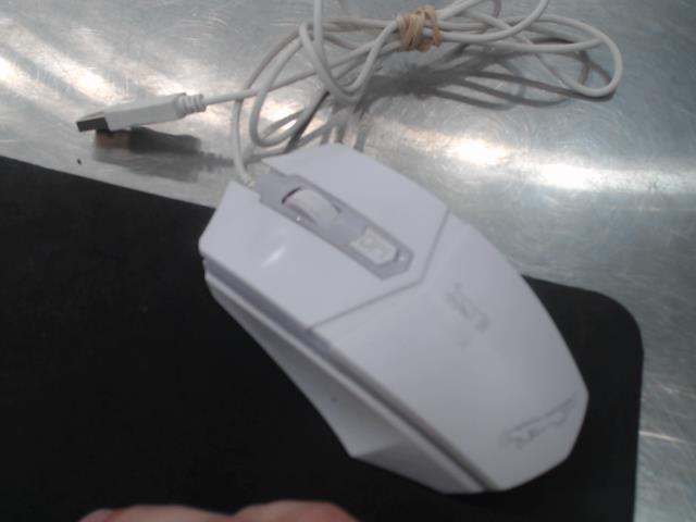 Souris blanche pour ordinateur