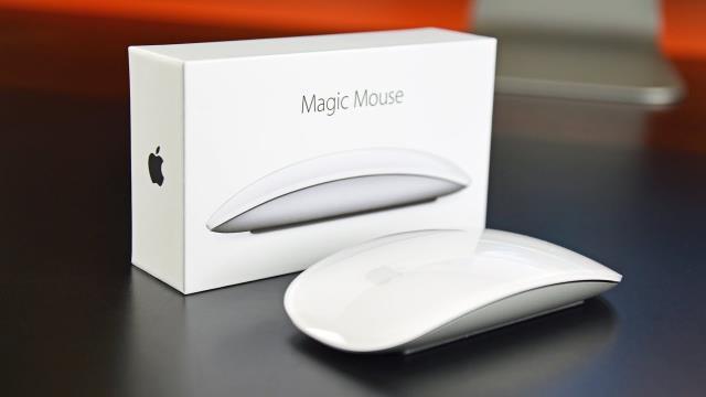 Magic mouse 2