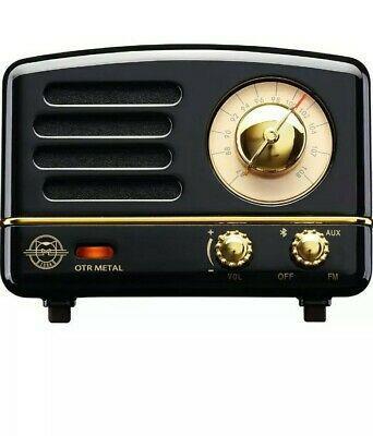 Portable fm radio and bluetooth speaker