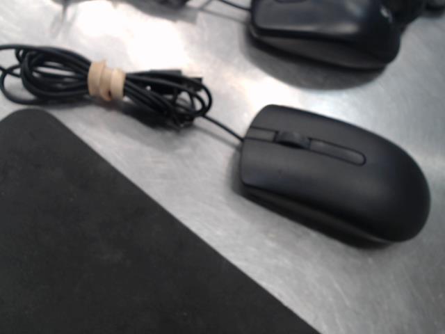 Souris a fil