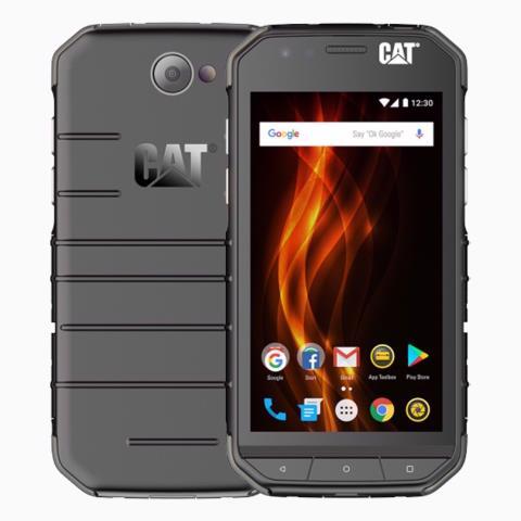 Cat s31