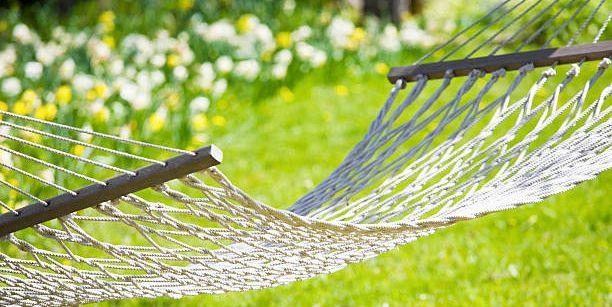 Hammock