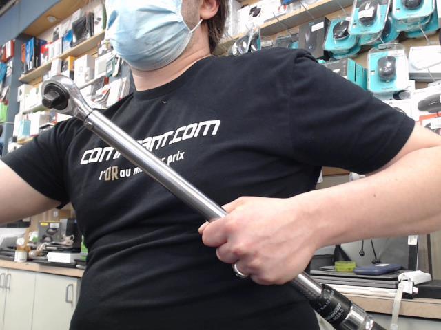Torque 1/2