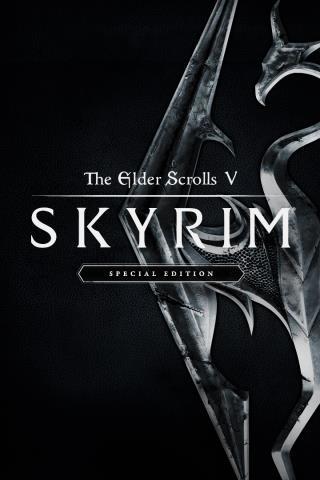 Skyrim the elder scrolls v