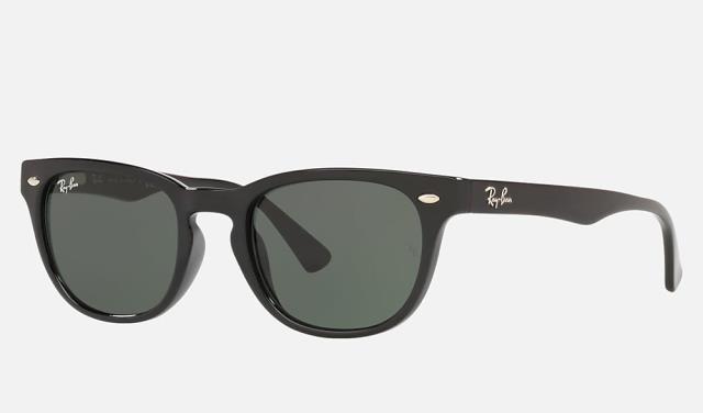 Verres fumes noire ray ban in case