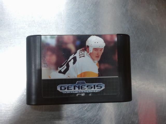 Mario lemieux hockey