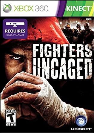 Fighter incaged kinect