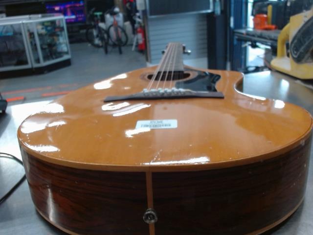 Guitare a 12 corde gianini accoustique