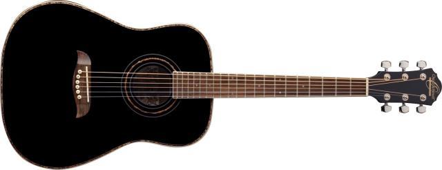 Guitars acoustic noir +soft case