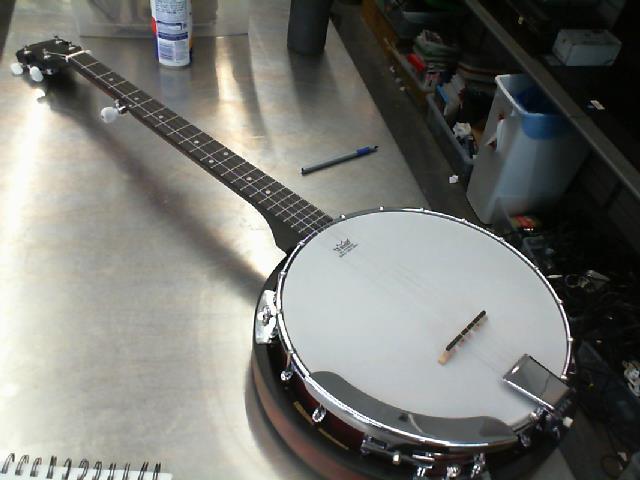 Washburn 5 string banjo + gig bag
