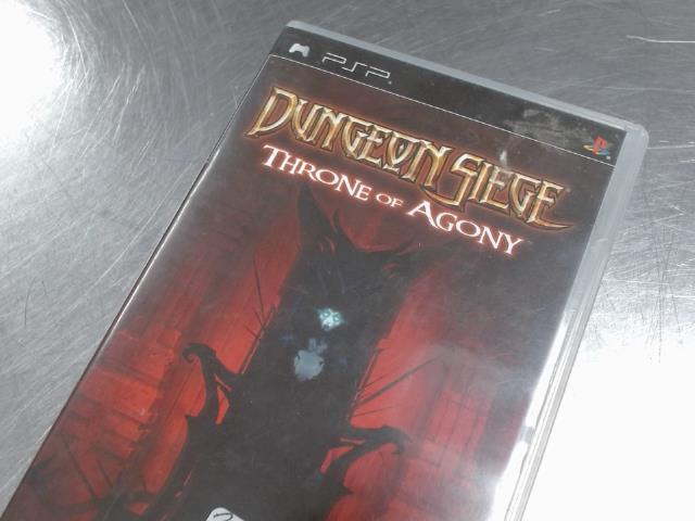 Dungeon siege throne of agony