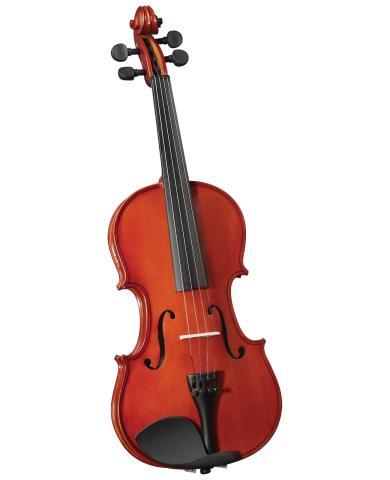 Violon  avec caise