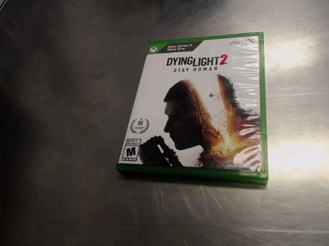 Dying ligth 2