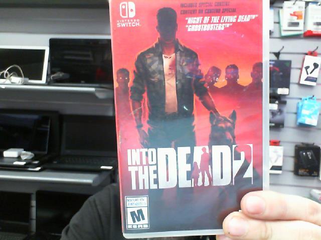 Into the dead 2
