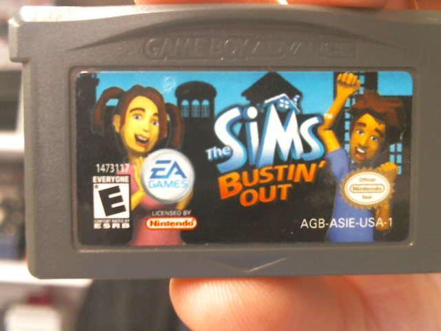 The sims bustin out