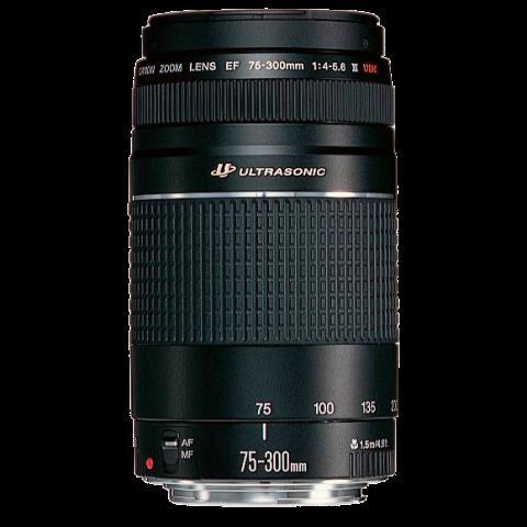 Canon zoom lens ef 75-300mm 1:4-5.6 iii