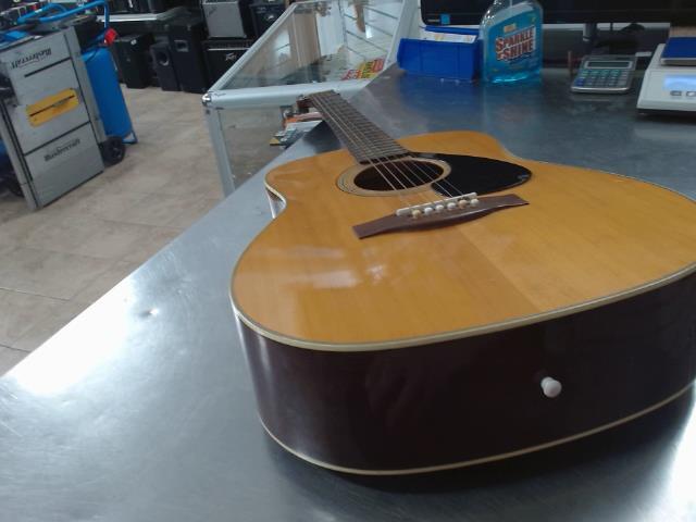 Guitare acousitque 12 cordes red label