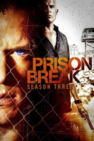 Prison break saison 3