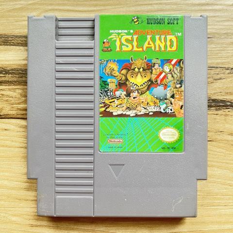 Hudson's adventure island