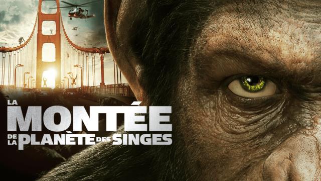 La mot de la plamete des singes