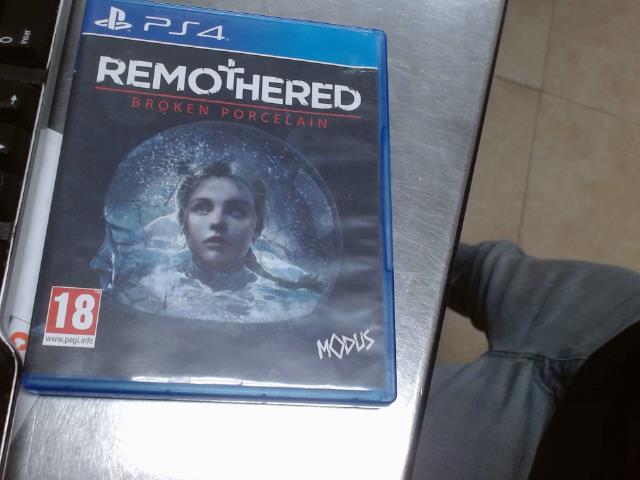 Remothered broken porcelain