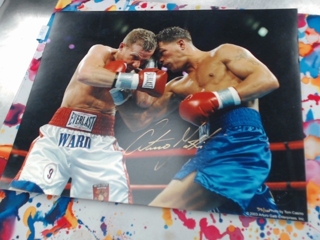 Arturo gatti vs mickey ward autographi