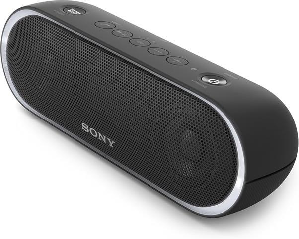 Wireless sony speaker