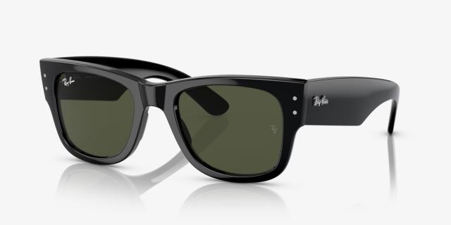 Ray ban wayfairer