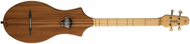 Mahogany educ seagull + etui